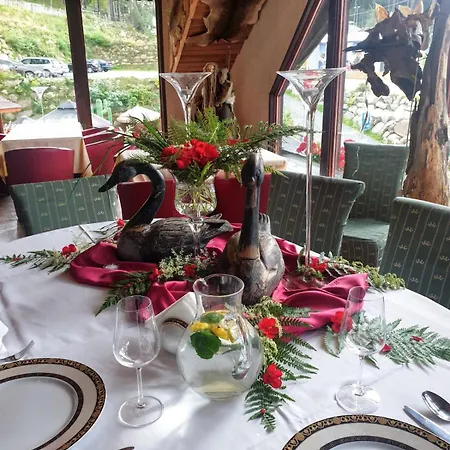 ベッド・アンド・ブレックファスト Bialy Jar 4*