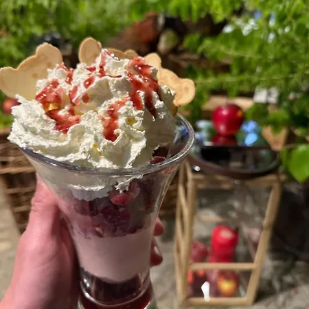 Bialy Jar Bed & Breakfast Karpacz